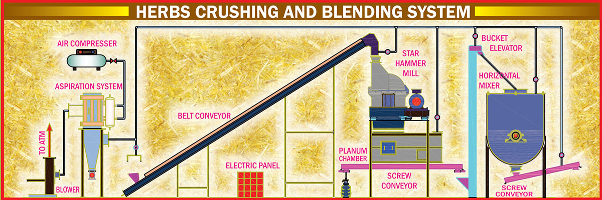 Ayurvedic Herbs Processing Machinery